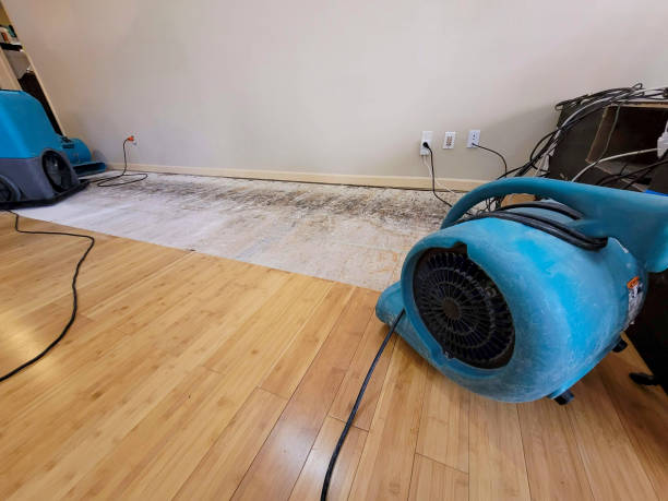 Professional Water Removal technician working in Ledbetter, TX
